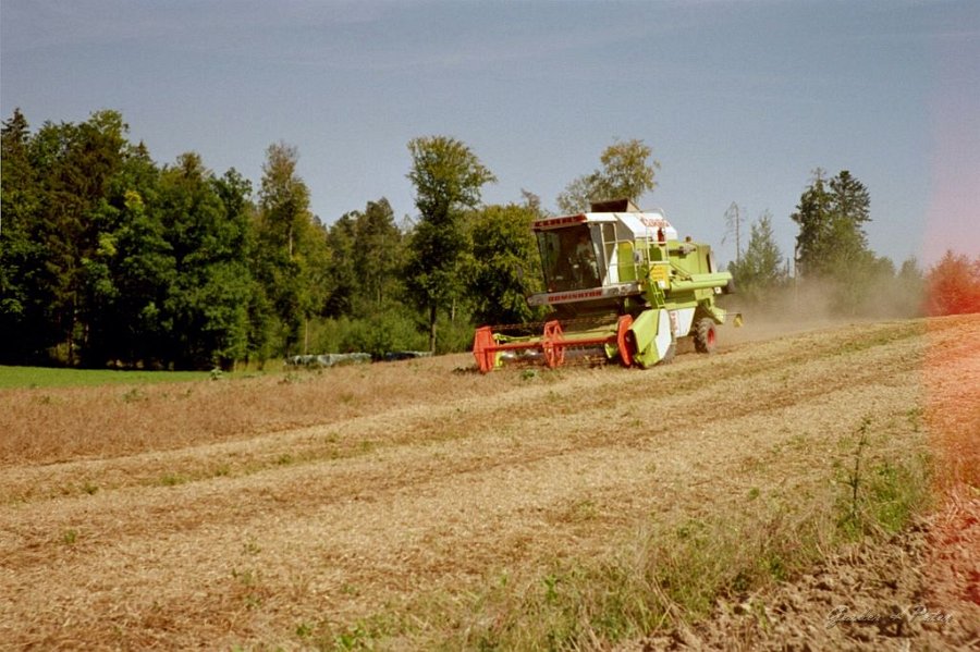 Claas Drescher 34